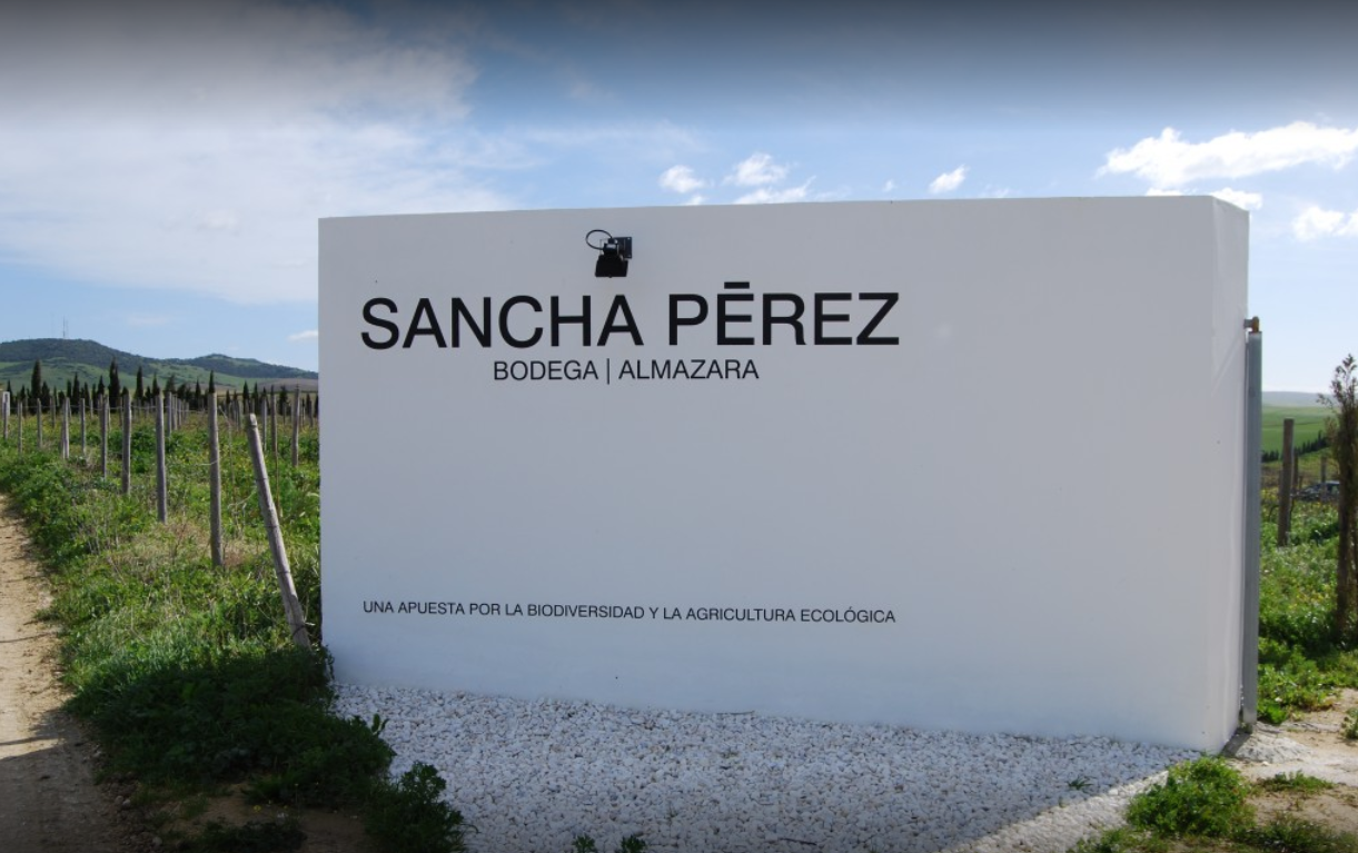 BODEGA-ALMAZARA SANCHA PÉREZ (RUTA GUIADA)